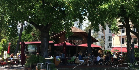 cottage café Geneve